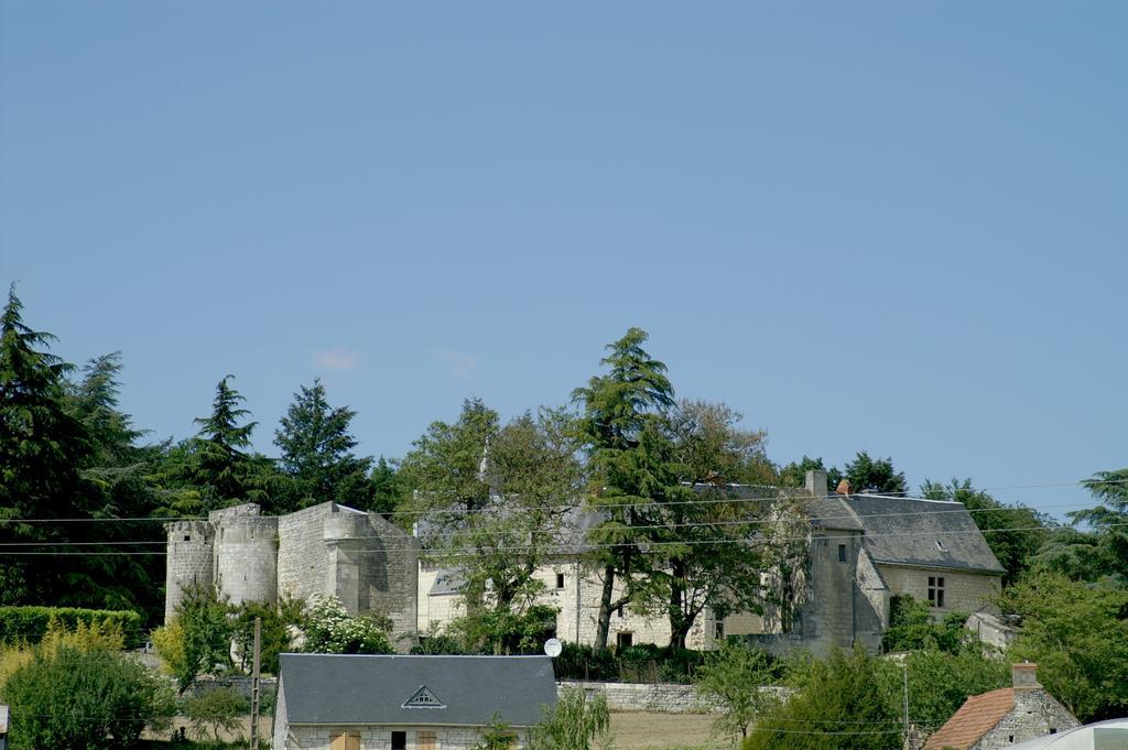 Chateau De La Roche Martel Bed & Breakfast Roiffe Exterior photo
